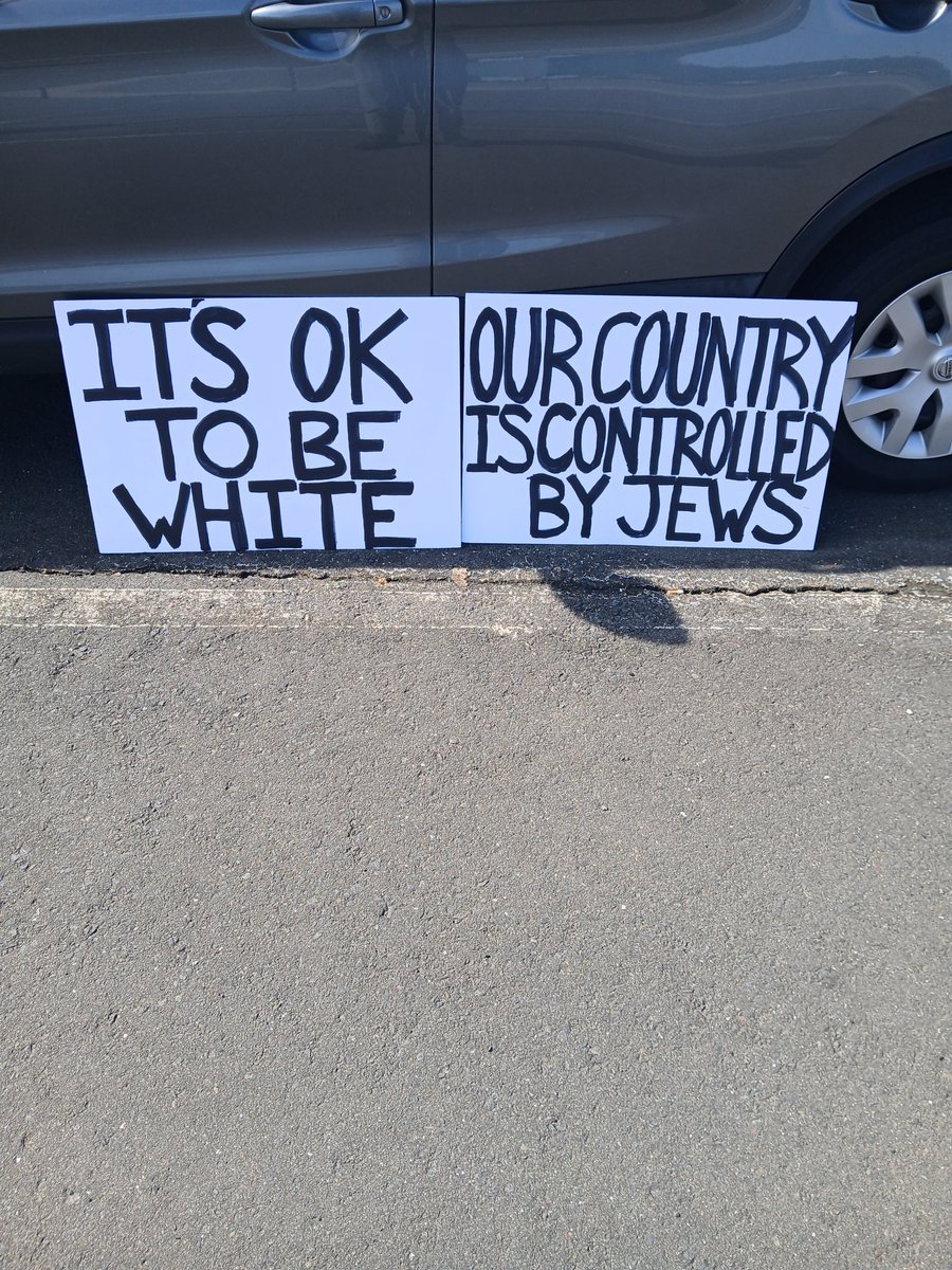TruckerWfn's tweet photo. I went out this morning to do some activism holding these 2 double sided signs at a busy 4 way intersection. I got about a 50/50 positive/negative response. 
I know it's not much, but it's alot of fun seeing people's reactions IRL.
🙋🏻‍♂️🤍💪🏻😁⚡️ https://t.co/GCxzznp87m