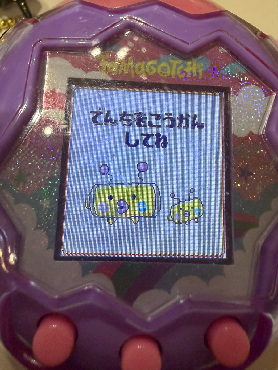 magic519's tweet photo. 無事に育て切りました！
ありがとうございました！（疲れた https://t.co/VGl8pCap6x