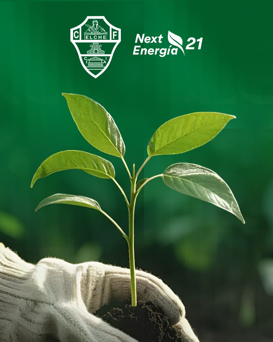 elchecf's tweet photo. 🌍 Hoy, en el Día Mundial del Medio Ambiente, recordamos que cada pequeño gesto cuenta para cuidar nuestro planeta

Junto a @nextenergia21 seguimos apostando por un futuro más sostenible 💚

#DíaMundialDelMedioAmbiente #NextToYou https://t.co/mvyYUx4UqC