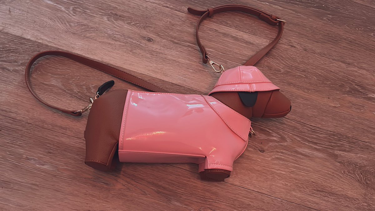BriAtCookiebox's tweet photo. last two days have been very eventful for me on twitter 💀

anyways moving on from that, please help me name this dog purse i just bought- look at him, i love him https://t.co/pOnbJKUytF