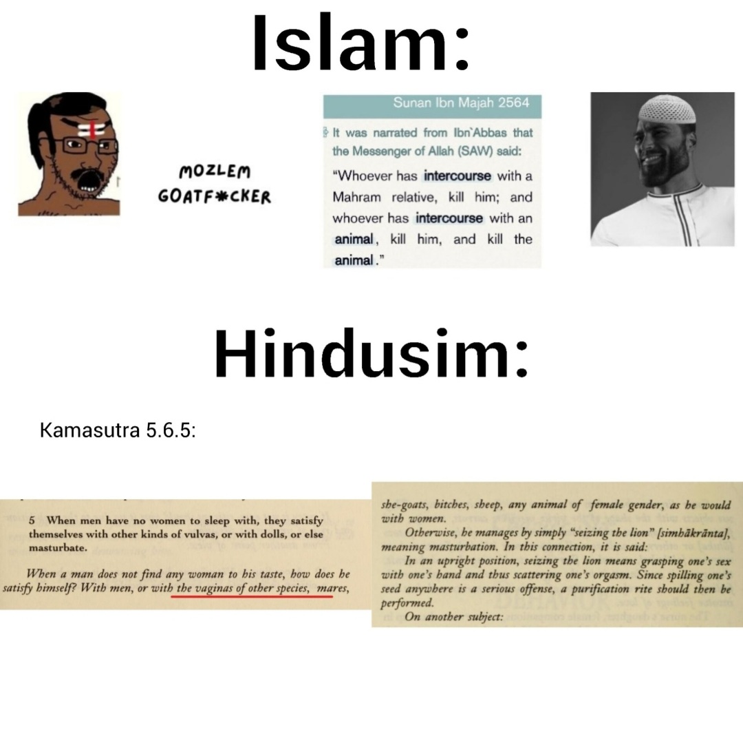 HasbaraDestoyer's tweet photo. @deystrix @Bharatiyan108 Nice cope by Lindu. Most of you all seem to be triggered by the fact that you can not see women, which is expected considering what religion you follow: https://t.co/tZT4oXiWIX