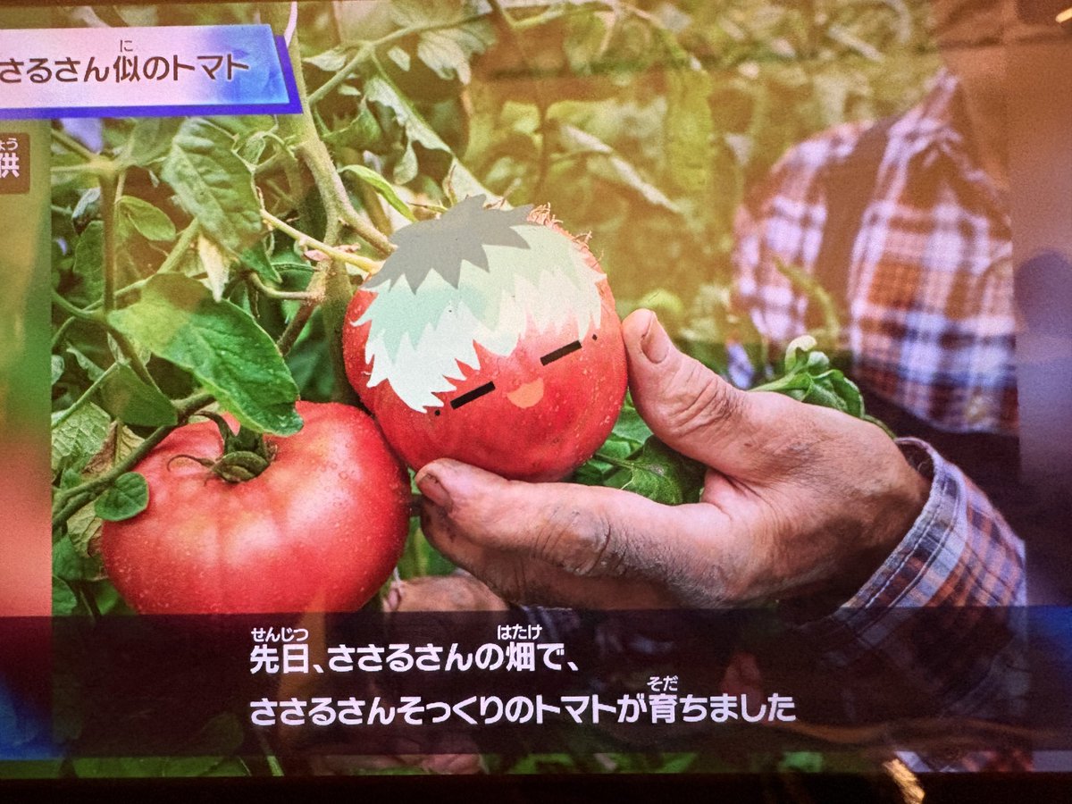 neneHiddles's tweet photo. きょうのろささ島
・じろうとさぶろうが入居
・ろささ以外の人たちの整形
・悪魔ろさが復縁
・青ささらたちに子供、入居(パイナップルかぶってる子) https://t.co/QaJ6wLbpq9