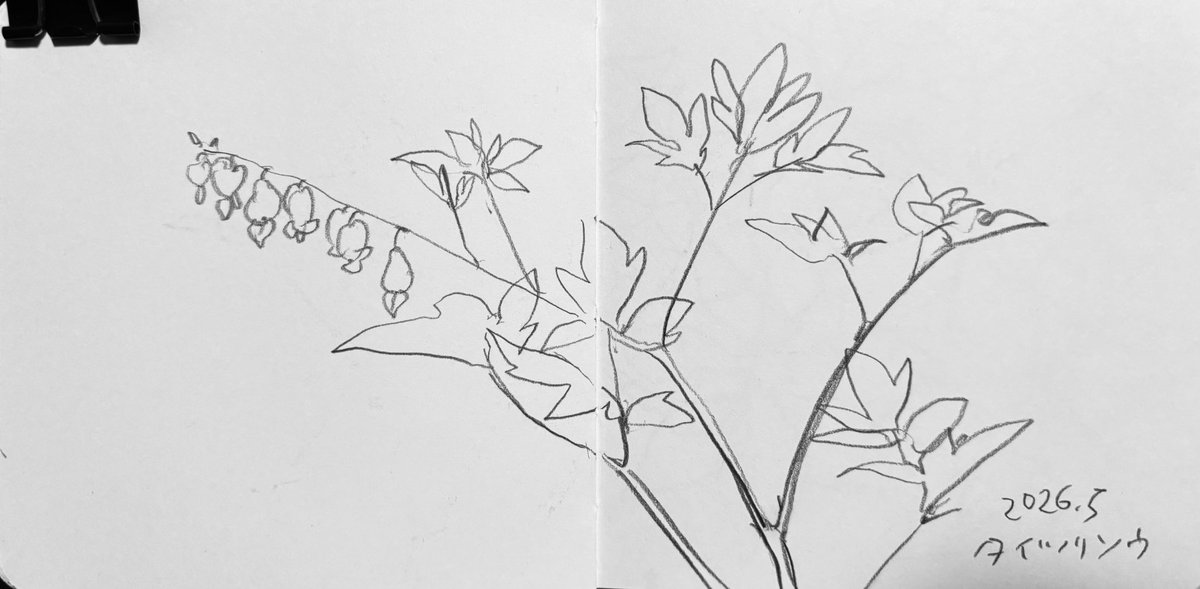 inoki_petrole's tweet photo. 植物スケッチ

# 一日一絵 https://t.co/qMHxuOsEYy
