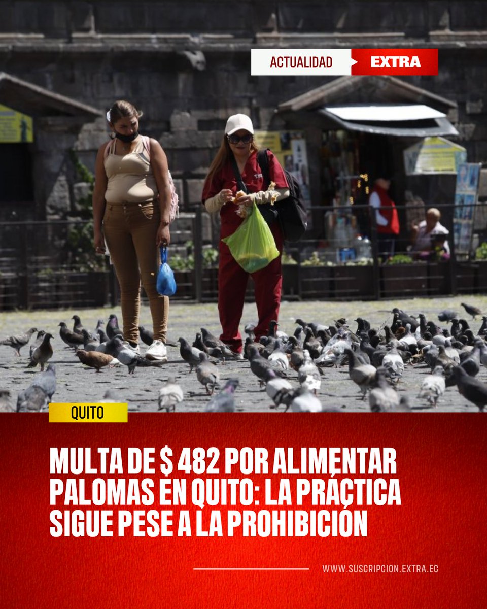DiarioExtraEc's tweet photo. Aunque desde 2020 existe una normativa municipal que prohíbe alimentar palomas y otras especies consideradas animales sinantrópicos, en varios espacios públicos de Quito la práctica continúa siendo habitual.

Los detalles 👉 https://t.co/JPZjWek2ig https://t.co/RCEZ5W3Qa5