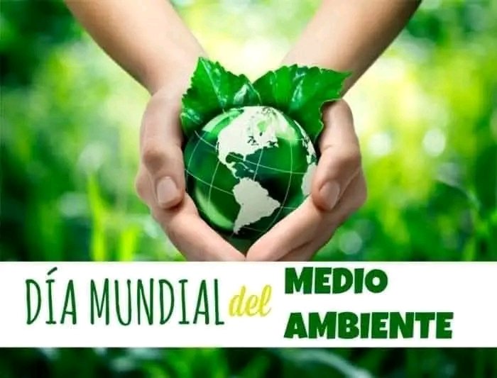 Educa_Gtmo's tweet photo. En el Día Mundial del Medio Ambiente hagamos una acción por el cuidado de nuestro planeta. Plantar un árbol, reciclar los desechos, respetar la naturaleza. Cada acción cuenta. 
#EducaciónGuantánamo #EducaciónAmbiental https://t.co/Q43Xr2Wvtj
