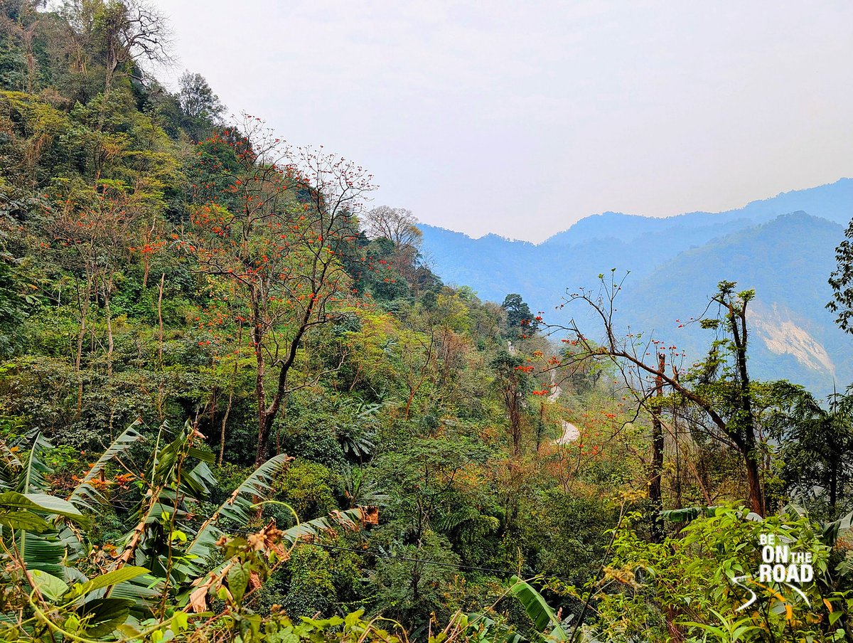 sankaracs's tweet photo. Hey offbeat traveler, this circuit represents one of the final frontiers of pure, raw biodiversity in Asia. It offers a sensory immersion into unreal nature. Been here?
https://t.co/Q3CkQeRQ3S
#Tezu #Kaho #Kibithu #DongValley #NorthEastIndia #ArunachalPradesh #IncredibleIndia https://t.co/glMsyzOBuy