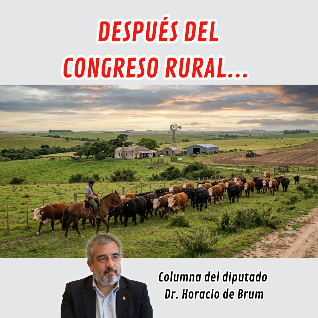 debrumdiputado's tweet photo. 👂 𝙀𝙎𝘾𝙐𝘾𝙃Á 𝙇𝘼 𝘾𝙊𝙇𝙐𝙈𝙉𝘼 𝘾𝙊𝙈𝙋𝙇𝙀𝙏𝘼 𝘿𝙀𝙇 𝘿𝙄𝙋𝙐𝙏𝘼𝘿𝙊 𝘿𝙍. 𝙃𝙊𝙍𝘼𝘾𝙄𝙊 𝙙𝙚 𝘽𝙍𝙐𝙈 𝙀𝙉 𝙍𝘼𝘿𝙄𝙊 𝙏𝘼𝘽𝘼𝙍É📻 

👉 𝙃𝙊𝙔 "𝘿𝙀𝙎𝙋𝙐É𝙎 𝘿𝙀𝙇 𝘾𝙊𝙉𝙂𝙍𝙀𝙎𝙊 𝙍𝙐𝙍𝘼𝙇..." 🐄 🌾 https://t.co/QqmDcDwYvn