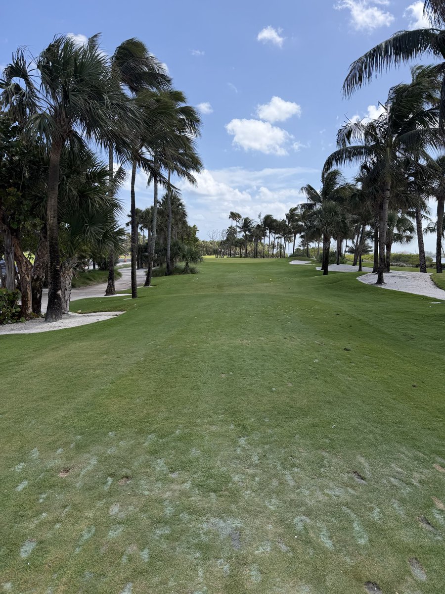 CuckoldSamuel's tweet photo. @grayfieldLLC @bottleofbeamv2 Should’ve convinced him to go to Palm Beach par 3 course instead! Right on the ocean and intracoastal https://t.co/aDuMfq3yff