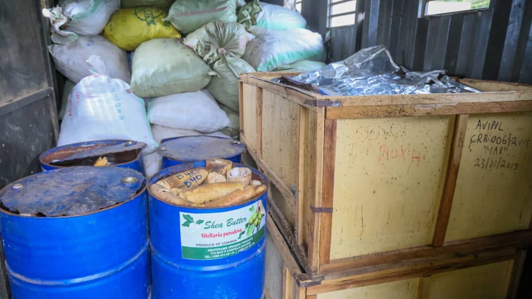 ugwildlife's tweet photo. UWA has received 8,857.84kg of wildlife contraband from Aviation Police  @UgandaCAA, including ivory, pangolin scales, rhino horns and other wildlife products seized at Entebbe Airport between 2011 and 2019.

The exhibits had been held in custody for over 14 years and are now under UWA's management as legal processes continue.
#wildlifecrime #SaveWildlife #ConservingForGenerations