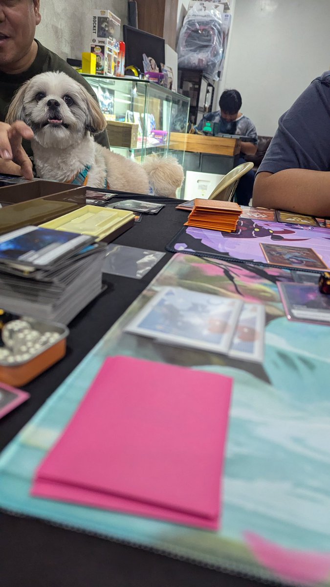ThesisSam's tweet photo. Just met the toughest riftbound player in my area and this bastard managed to stare at me while playing his X-0 ivern deck https://t.co/53biVxmfDX