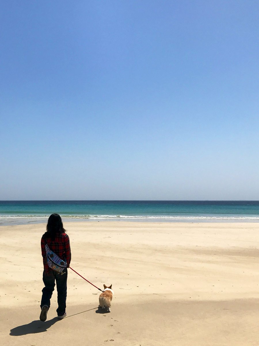 chiyocamp's tweet photo. #みんなのスマホに保存されてる空の写真を見てみたい https://t.co/V4IkAbOGLZ