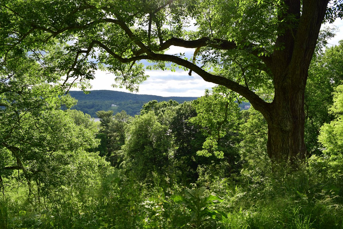 EricMiller135's tweet photo. Landscape, 6/5/18. https://t.co/bYeaoEabDG