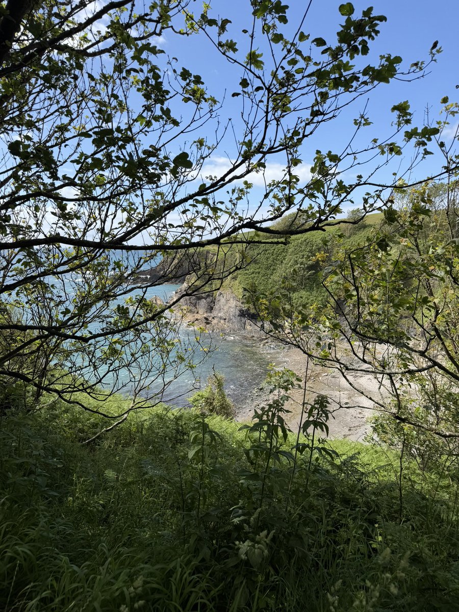 Quinny306's tweet photo. Lovely dog walk this morning. Menabilly to Readymoney Cove #Kernow #SWCoastpath https://t.co/LLsnFDRi3O