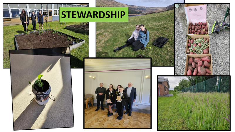 STM_College's tweet photo. STEWARDS - World Environment Day June 5th - our Stewards are living out Catholic Social Teachings and promoting environmental care - from growing veg, to our prayer garden, supporting pollinator initiatives at Dovestones, litter picks, no mow May and pet plants schemes!! https://t.co/nTzeG5HCWi