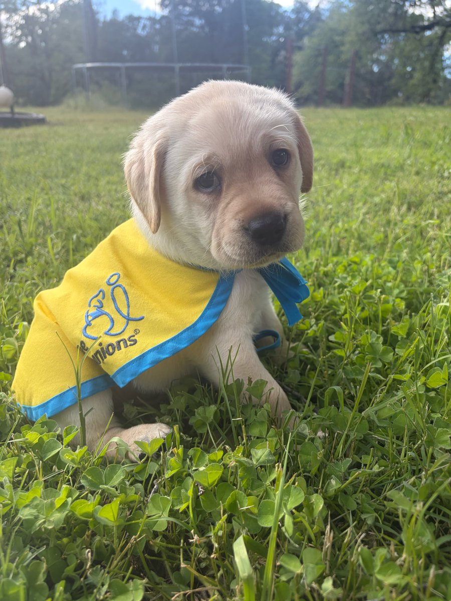 natspup_'s tweet photo. does anyone want to see ME as a baby https://t.co/ptQNZoxyOU