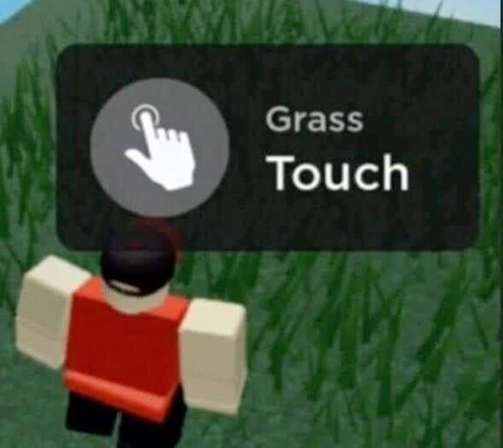 ytlexblox's tweet photo. Should Roblox add this feature?😅

#Roblox https://t.co/Ltr6qLUhTm