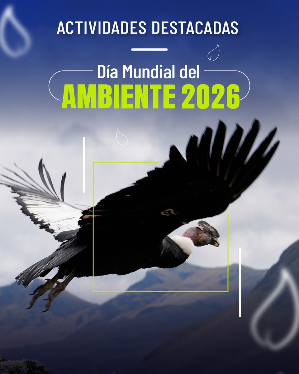 EcuadorMAE's tweet photo. 🌎 ¡𝗘𝗹 𝗗í𝗮 𝗱𝗲𝗹 𝗔𝗺𝗯𝗶𝗲𝗻𝘁𝗲 𝗹𝗼 𝘃𝗶𝘃𝗶𝗺𝗼𝘀 𝗔𝗖𝗧𝗨𝗔𝗡𝗗𝗢!

Tenemos una GRAN agenda de actividades:

🌱 Reforestaciones
🎭 Ferias de bioemprendimientos
📸 Rally fotográfico
🚴‍♀️ Bicicleteada por el ambiente
🏝️ Limpieza costera 
🎬 Cine foro sobre saberes ancestrales

¿𝗗ó𝗻𝗱𝗲?

Chimborazo, Cañar, Sucumbíos, Zamora Chinchipe, Pichincha, Orellana, Tungurahua, El Oro, Santa Elena y Galápagos.

🌿 Súmate a esta ruta por el ambiente.