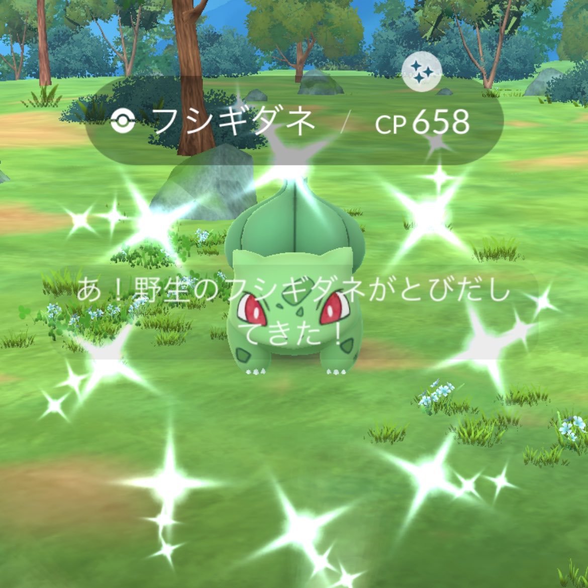 ___uco___'s tweet photo. おつかれさまでございます🙋🏽‍♀️

今日のキラりんちょ✨
コフキムシはマリンさん☺️

あかん、眠ーい😵‍💫
おやすみなさーい😘

#ポケモンGO
#色違いポケモン https://t.co/we0IN9NDwD