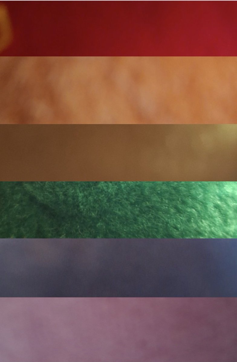 Penelopee1392's tweet photo. Happy pride month et voici mon 1er montage le drapeau de la commu LGBT 
C'est des zoom sur des peluche car j'en ai bcp trop pour une femme de 27 ans https://t.co/NhszFrZoPu