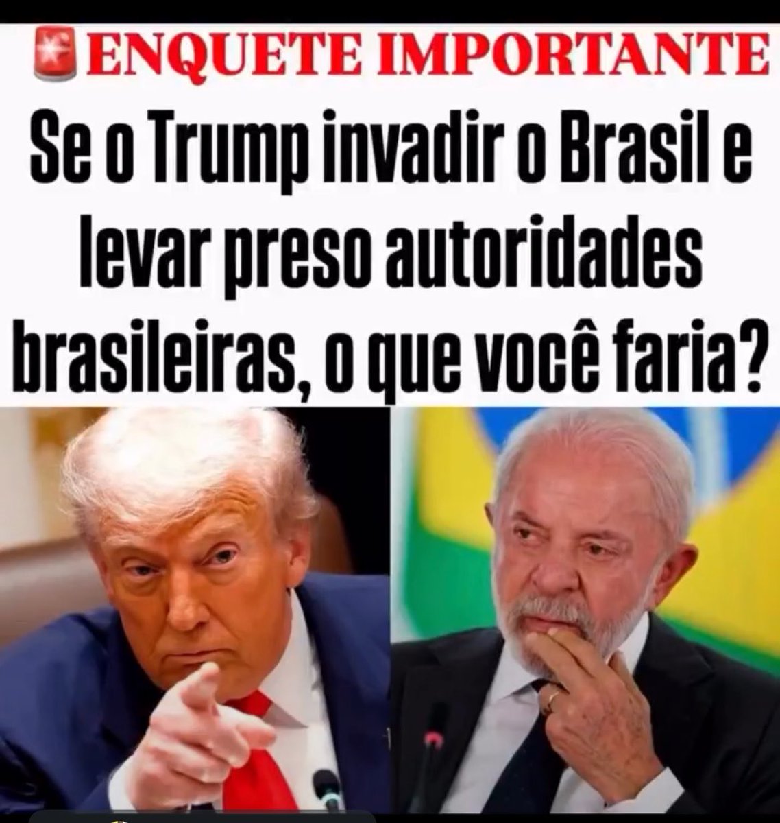 Sueli Rizzi 🌻🇧🇷 tweet media