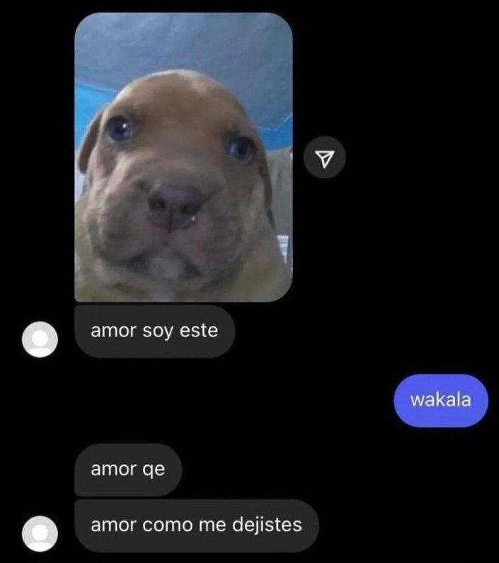 RockChalt's tweet photo. @derekherreraa no se mo m gusta er furbo https://t.co/NdJVj2EeeZ