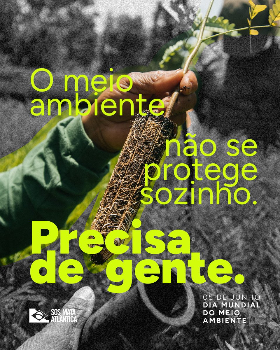 sosma's tweet photo. Neste Dia Mundial do Meio Ambiente, celebramos quem transforma preocupação em atitude e mostra que cuidar da natureza é uma responsabilidade compartilhada. A Mata Atlântica permanece de pé graças ao trabalho, ao engajamento e à mobilização de milhares de pessoas. https://t.co/w2INCLhoOG