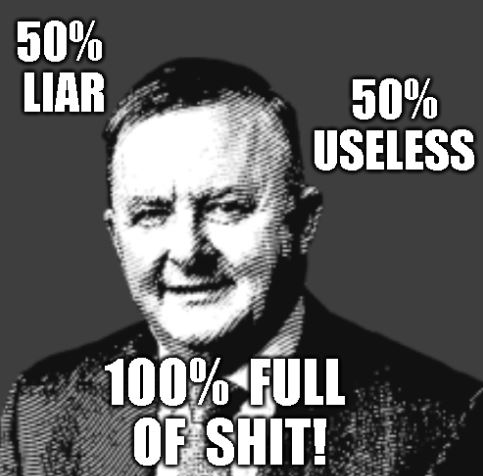 David_Baker_'s tweet photo. @AlboMP https://t.co/nQtfIorapF