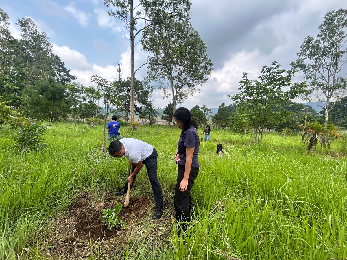 NssUcc's tweet photo. The NSS Unit, UCC, celebrated World Environment Day in collaboration with the Sengkur Lyndem/Ryndem Mawlai Circle and the Department of Botany, UCC, with an awareness session and tree plantation drive, with around 50 saplings planted across the campus.
@nss_rdguwahati @CellNehu https://t.co/Ohi9v1F3VL