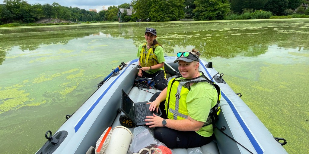 USGS_Water's tweet photo. Something’s blooming in the Big Apple - and it’s not just the flowers. 🔬🏙️ 

While Central Park is an urban oasis, its lakes often face a recurring summer visitor, Cyanobacterial Harmful Algal Blooms (cyanoHABs).  

What Are CyanoHABs? 🦠 

Also known as blue-green algae, cyanobacteria occur naturally but can multiply rapidly during warm summer and early fall months. The blooms, appearing like spilled green paint, pea soup, or thick surface scum, can lower oxygen levels in the water, harming aquatic ecosystems. They can also produce cyanotoxins that are dangerous for people, wildlife, and pets that use freshwater lakes and ponds. ⚠️ 🌿🐟 🐶 

Scientists at the USGS New York Water Science Center track these blooms to better understand cyanoHAB dynamics across the park's lakes and to inform water resource management.  

Learn more - https://t.co/5hAqACCbqz 

📸 1 and 2: USGS staff use an inflatable rowboat to conduct water quality sampling in 6 different lakes of Central Park in New York City during summer 2025. Photos by Rebecca Gorney, USGS 

📸 3: A Lake in Central Park, New York, with a harmful algal bloom present. Photo by A. Doolittle, USGS 

#WaterQuality #HAB #NewYork