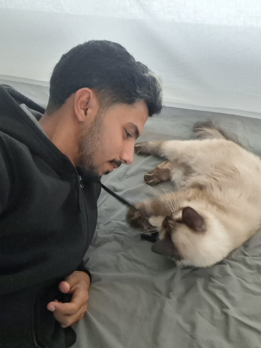 MustafaAmeen30's tweet photo. I miss the days when Misho would run to me just to play…💔

I miss his voice, his little movements, and the way he comforted me even on my hardest days.

Now all I wish for is for him to regain his health and strength, and to be the same as he was…full of life and peace.

Please help me so I can provide Misho with his medicine and the right food so he can recover…😢💔
https://t.co/xGCCiDkYXZ
