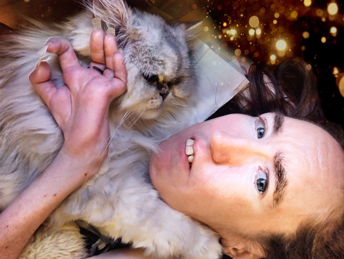 elbenlady's tweet photo. Because Wenzel and me ARE pretty!😆 

#persiancat
#dollfacepersian
#catlover https://t.co/sEhjHElOdd