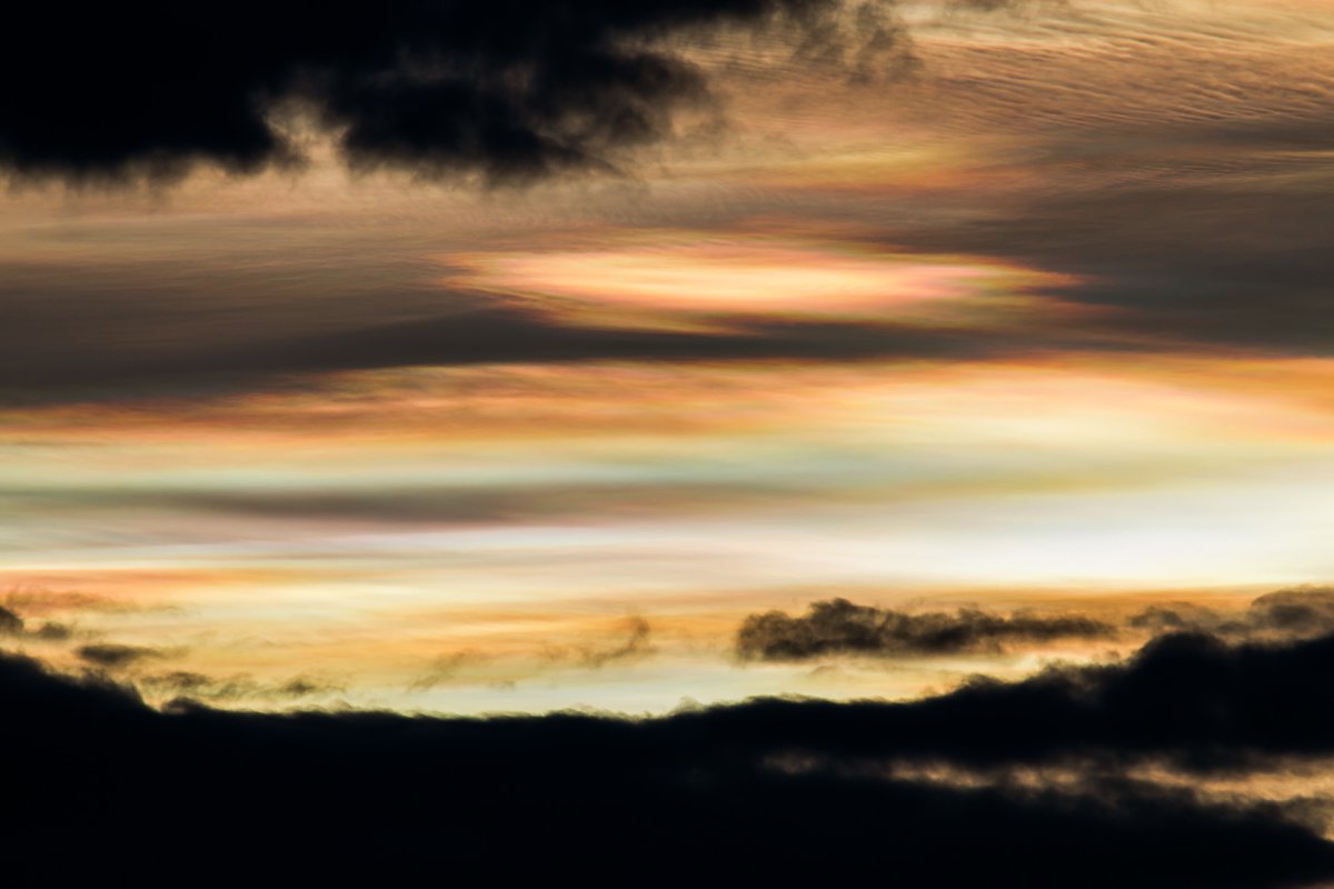 WasatchPhotonic tweet picture