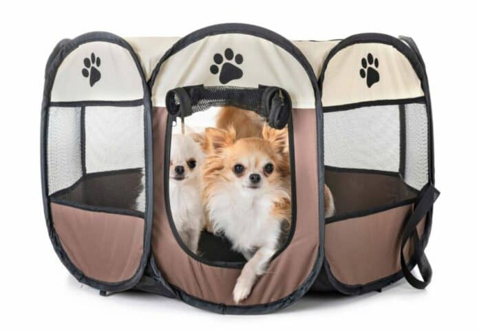 DogsBestLife's tweet photo. The playpen vs crate debate: Which wins for easy puppy training? https://t.co/GZniwwQYK0 https://t.co/uyHHiVJeru