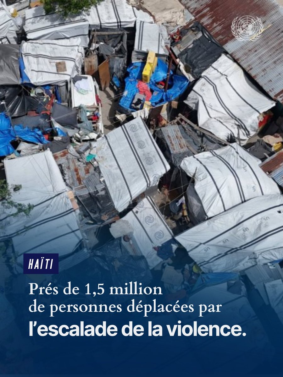 ONU_fr's tweet photo. Haïti : Près d'1,5 million de personnes déplacées alors que la crise humanitaire s'aggrave sous l'effet de la violence.

@UNmigration poursuit ses opérations vitales dans le pays, mais les besoins sont immenses. Un financement durable est essentiel. https://t.co/KOsDKUt1yz https://t.co/AvgengAPsi