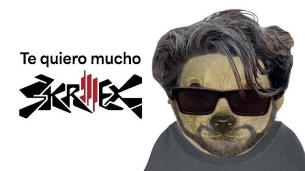 __fernandoluis's tweet photo. @Skrillex https://t.co/1ulbAdJ9zg