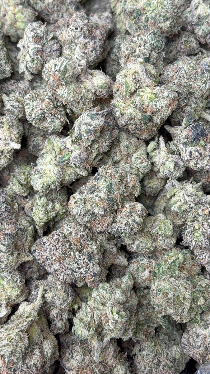 ppg_world's tweet photo. Black truffle 🔥🔥🔥 https://t.co/y3VbFd4AEm