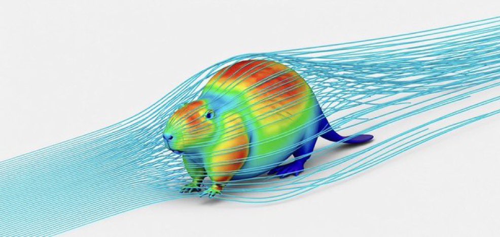 seangeng's tweet photo. hey if anyone got my inference response on how to calculate these aerodynamics please send it here https://t.co/mxCrHG993a