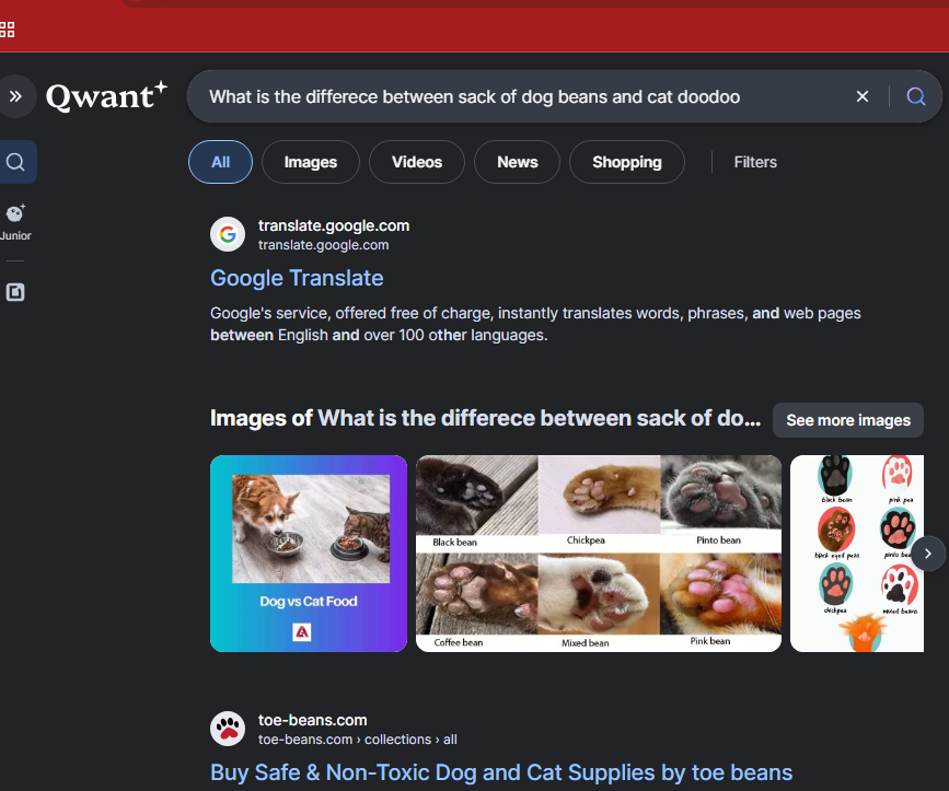 RubberDogx's tweet photo. Qwant vs Google and Qwant pulled up google. 

What kind of BS search engine is this? https://t.co/mbSV7bTNHD
