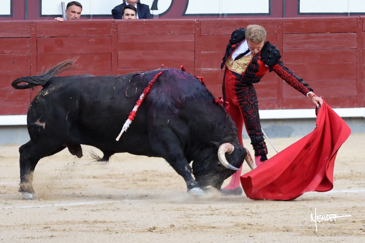 marmhz's tweet photo. Las Ventas
🔵 Clemente y una faena de entrega y heroicidad que roza el milagro en Madrid

La crónica completa a través del siguiente enlace:

https://t.co/3FEBlW48XO https://t.co/sYkMUz739e