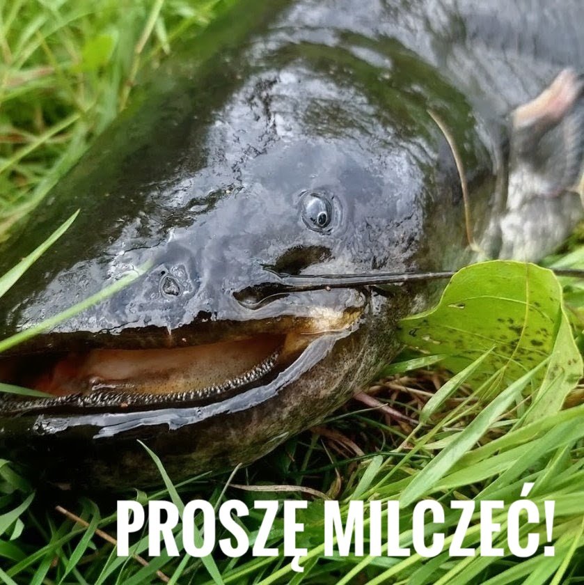 TedK69's tweet photo. @PolsatNewsPL Oj będzie ciężko. https://t.co/mwcNkE0THJ