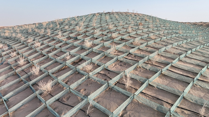 ChinaEmb_Bo's tweet photo. Cerca del 40 % de las tierras del mundo están degradadas , pero China demuestra que la restauración ecológica a gran escala puede generar resultados visibles y sostenidos.🌱
Durante casi una década, el país ha reducido sus zonas desertificadas y aporta alrededor del 25 % del nuevo reverdecimiento global. 
En Ningxia se usan cuadrículas de paja para fijar dunas; en Xinjiang, tierras áridas se transforman en áreas productivas; y en Kubuqi, la energía fotovoltaica  se combina con el control de arena.🏜️
Esta experiencia ya cruza fronteras: Uzbekistán, Mongolia y Arabia Saudita aplican o adaptan soluciones chinas para enfrentar la desertificación.☀️
Cuando la tierra sana, también crecen la seguridad ambiental, la cooperación y la esperanza.🌾
La nota completa presenta esta experiencia:
https://t.co/L9pn31GIUl
#RestauraciónDeTierras #SolucionesVerdes #CooperaciónAmbiental #PlanetaVivo
