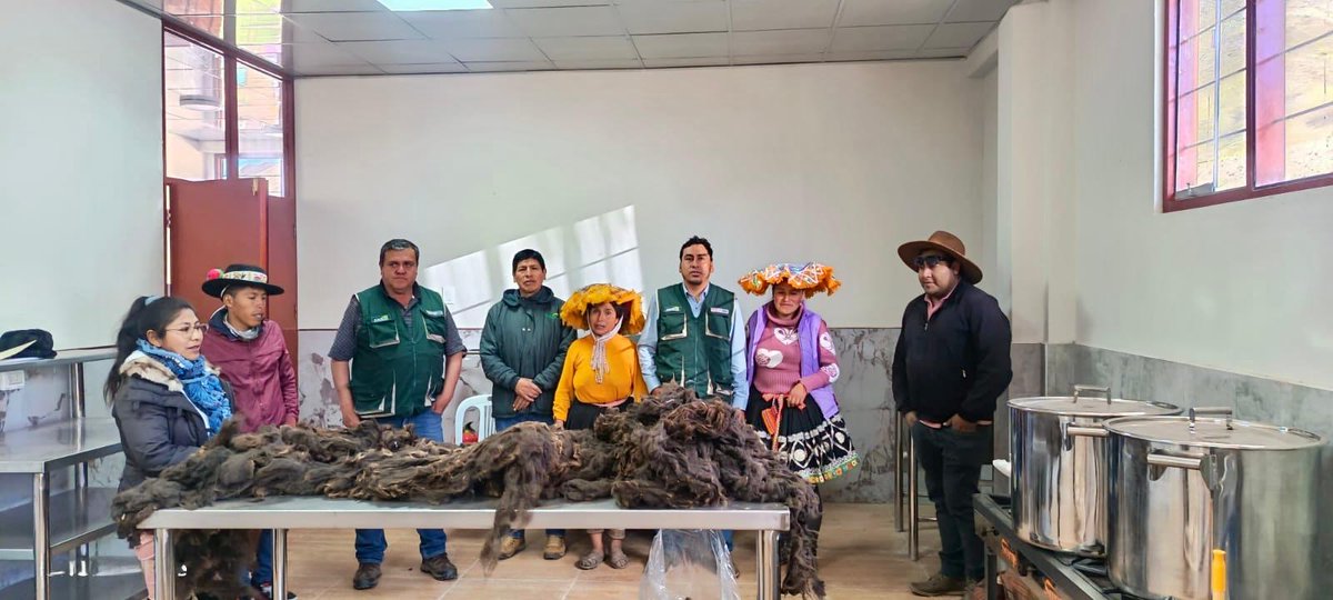 agroruralPER's tweet photo. #Cusco 🦙🧵 | ¡Más valor para la fibra de alpaca!

La asociación Siete Colores de Vinincunca fortalece sus capacidades en esquila mecanizada y manejo de fibra de alpaca gracias a los servicios del Centro de Hilado Artesanal de Llacto, en Cusipata (Quispicanchi). 🌱🦙 https://t.co/FDiqUlutNw