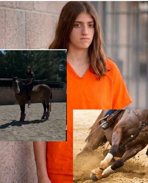 Diegoranchinc's tweet photo. LAS VEGAS HORSE STABBING CASE: JUDGE ORDERS TEEN HELD WITHOUT RELEASE
The 17-year-old accused of stabbing three horses during the NBHA Professional's Choice Vegas Super Show appeared before a judge today, and the court has ordered that she remain in custody without release.
According to sources, the judge determined the teen presents a public safety risk and should continue to be detained while the case moves forward.

What We Know So Far
-The suspect remains in juvenile custody.
-Prosecutors are seeking to have her tried as an adult, but that request has not yet been granted.
-A decision on whether the case will be transferred to adult court is expected next month.
-The teen is accused of stabbing three horses - Detail, Sully, and Rocket - during the event at South Point Arena. All three horses survived and are expected to physically recover, though owners have publicly described significant emotional trauma and recovery challenges.
-Authorities previously announced the suspect was booked on 12 counts involving animal maiming/torture allegations and 3 felony counts of malicious destruction of private property exceeding $5,000.
-Investigators believe a knife was used, and police located the suspect at a nearby hotel after the incident.

The Next Big Question
The next major hearing many in the horse industry will be watching is the adult-certification hearing.
Today's hearing was not about guilt or innocence.
Today's hearing was about detention.
The court's decision was to keep the suspect in custody and the judge cited public safety concerns. This signals that the case is being treated very seriously as it moves toward the next phase.

The question now:
Will this case be handled in juvenile court, or will it proceed in adult court? We will find out at the hearing on July 8th.