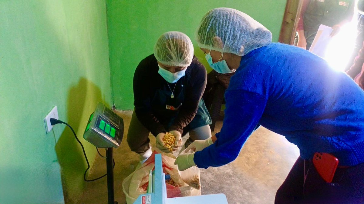 agroruralPER's tweet photo. #Cajamarca 🌽✨ | Productores de la Cooperativa Agraria Toledo Ayambla Amanchaloc (Contumazá) fortalecen sus capacidades técnico-productivas mediante la elaboración de derivados del maíz amiláceo, como harinas de chochoca, maíz morado y coronta. https://t.co/H4Zm1VTjrW