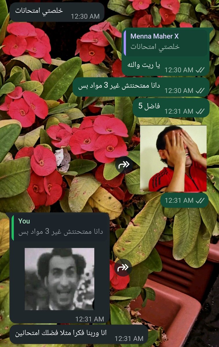 upperJerryS3edy's tweet photo. انا تعبت https://t.co/8VO4BTZCNs