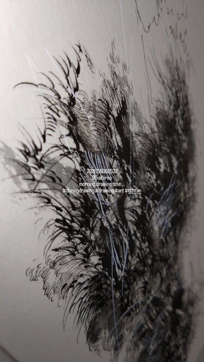 tttttan's tweet photo. 202606060532
B6 albireo
morning drawing time...
#duringdrawing #drawing #art #tttttan https://t.co/G9o6Kz3GQO