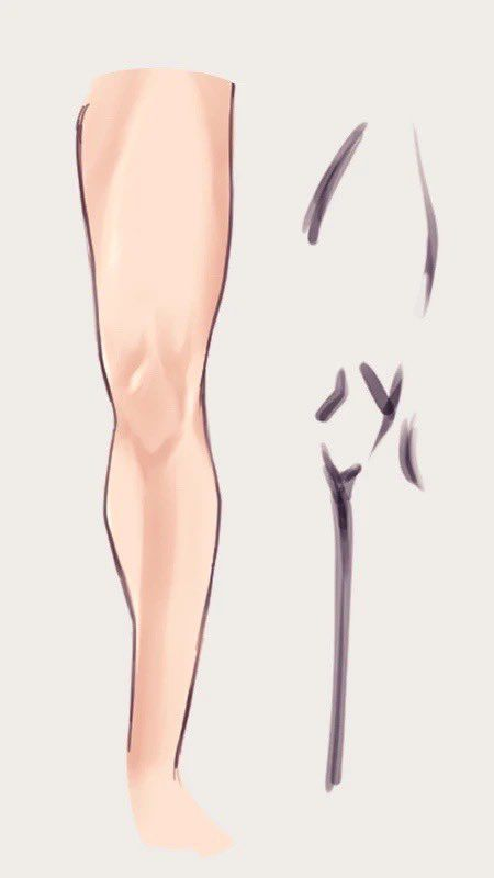 tryanglefor's tweet photo. 🦵 Understanding the bones underneath makes leg anatomy much easier ✍️✨

Do you build your legs from muscles or from the skeleton first? 👀🔥 https://t.co/wnSr2ZsOlT