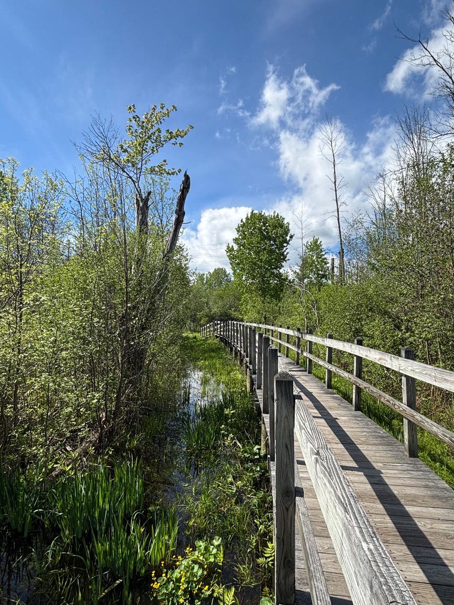 CornellMPH's tweet photo. The campus is showing off for Alumni Reunion Weekend. We can't wait to see you! https://t.co/hfg1JXPQ0N