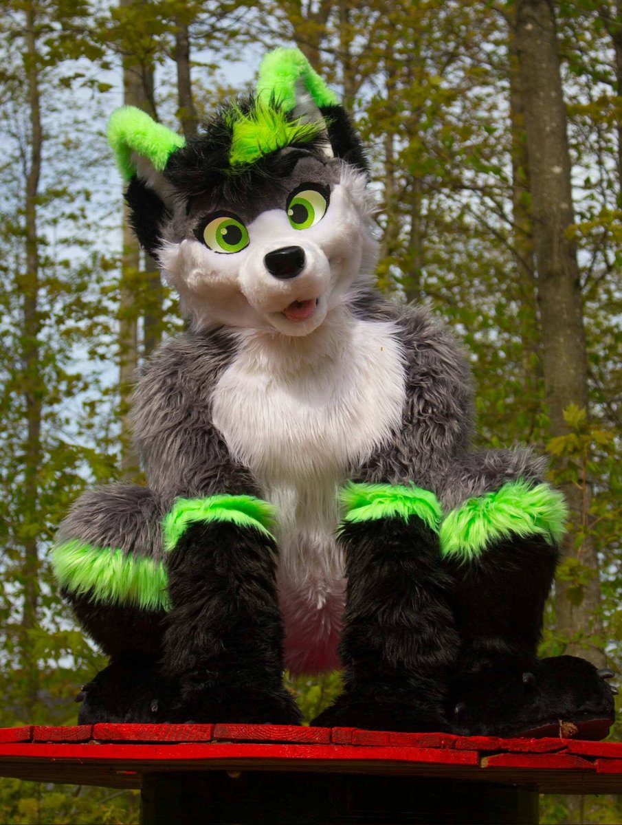 Firefly_Wolfy's tweet photo. I'm a wolf, What kind of animal are you?~ #fursuitfriday 🐺👀 https://t.co/W2B5OXc4mV