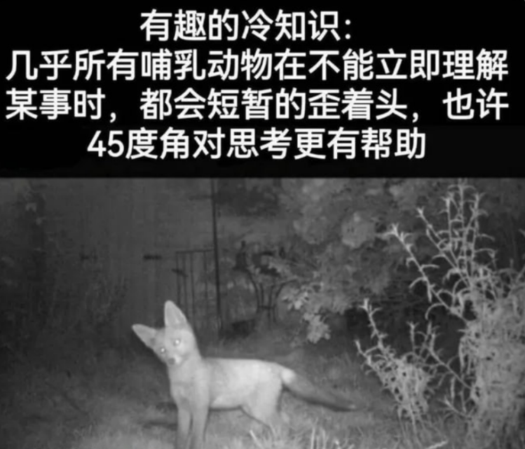 show5560's tweet photo. 学会了🤓 https://t.co/TJIfFQkQCl